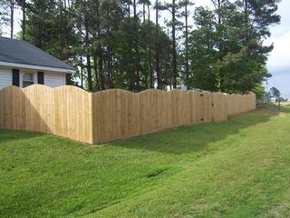 Wood Fence Convex